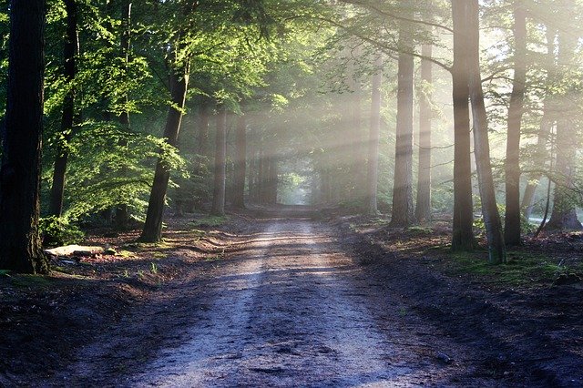 Streekeigen landschapsbeheer: Willemsoord doet mee