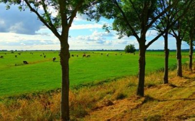 Landschapsbeheer Willemsoord zoekt medewerker