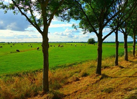 Landschapsbeheer Willemsoord zoekt medewerker