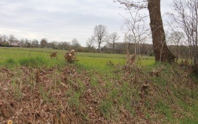 Ook Willemsoord in de bres voor streekeigen landschap