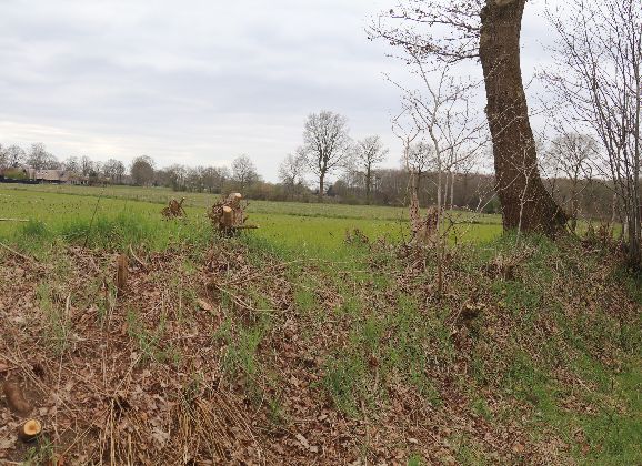 Ook Willemsoord in de bres voor streekeigen landschap