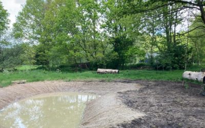 Eerste landschapselementen aangelegd